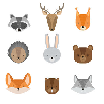 Vector set of cute forest animals. Wild woods animals: raccoon, deer, squirrel, hedgehog, hare, bear, fox, beaver and wolf. Cartoon illustration for children