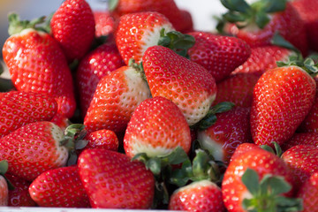 Fresas