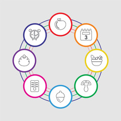 8 colorful stroke icons set included clock, leaf, thermometer, acorn, mushroom, picnic basket, calendar, apple