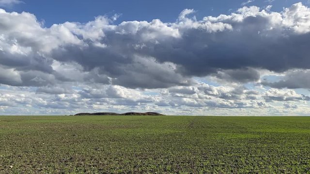 Empty field after harvesting in sunny day. Mowed wheat field  uat sunset, Czech Republic