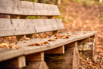 Lonely empty wooden bench with moody atmosphere with autumn leaves on it in the forest in October in Germany