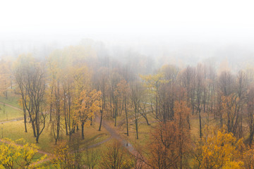 Autumn park in fog. Top view. Isolated on white. Fall landscape.