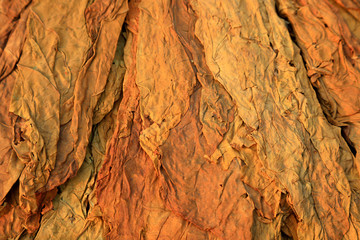 dry tobacco on the stall