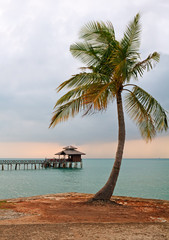 Palm tree on background Floating Restaurant at evening, Bintan, Indonesia.