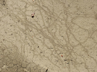 dry soil on the ground texture