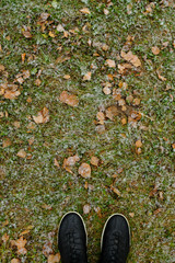 Women's black sneakers on yellow leaves in autumn.