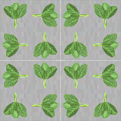 leaves of collards on background,Chinese kale,seamless pattern