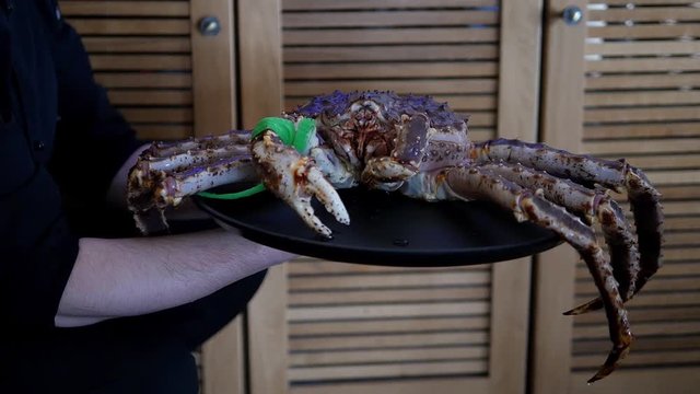 A waiter is holding a giant fiddler crab on a plate in a reastaurant. An exotic seafood cooking concept.