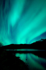 Aurora reflecting in water. Green northern lights above dark mountain landscape with lake. Silhouttes of plants in foreground.