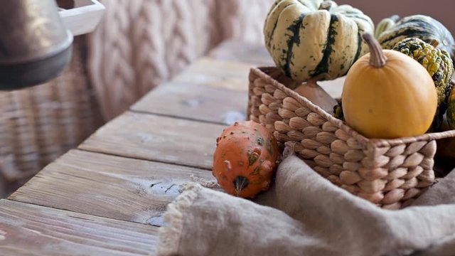 pumpkins on an autumn table in a wicker basket. The atmosphere of comfort and coziness.