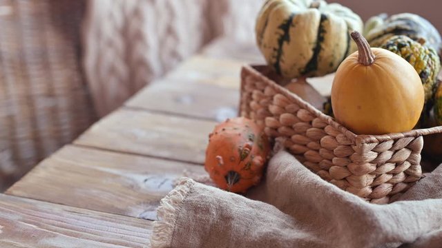 pumpkins on an autumn table in a wicker basket. The atmosphere of comfort and coziness.