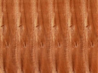 texture of wood background