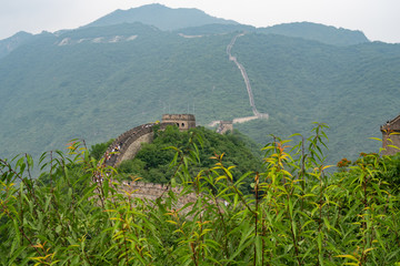 Great Wall of China with a green trees in a background.