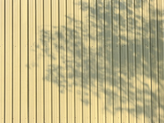 shadow leaf on yellow metal sheet of fence