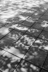 Concrete tiles floor with tree shade background in black and white color tone
