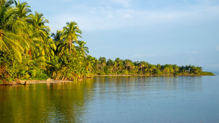 Bocas del Toro island with landscape of tropical beach shore with palm trees at Boca del Drago.