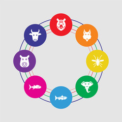 8 colorful round icons set included cow, pig, tuna, salmon, elephant, mosquito, fox, tiger