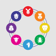 8 colorful round icons set included chameleon, eagle, female sheep, horse, fly, dog, boar, kangaroo