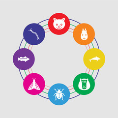 8 colorful round icons set included centipede, zander, butterfly, bug, baboon, dolphin jumping, squirrel, lemur