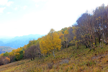 Fototapeta premium mountain natural scenery