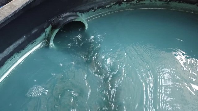 Industrial waste water treatment system