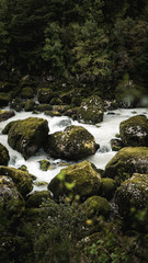 Patagonia's secret