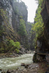 Beautiful view of small flowing river and rock cliff with lush trees in Aare gorge (Aareschlucht), Meiringen, Switzerland