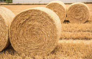 Bales of hay