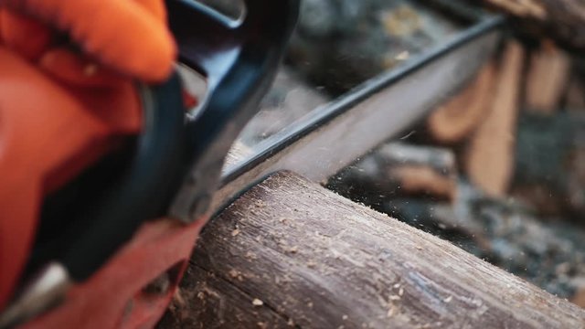 Sawing wood with a chainsaw. Chainsaw cutting log closeup, slow motion shot