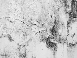 Obraz premium old dirty white wall with mold texture background