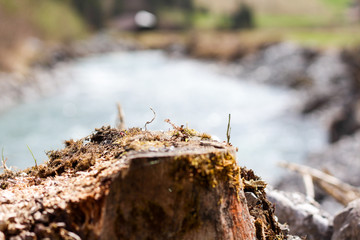 Flusslauf