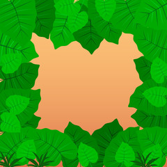 Tropical Jungle background. Leaves of the tropical trees and plants as frame