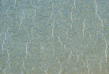 crack on board texture