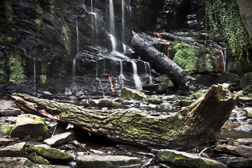 waterfall in the forest folly dolly falls yorkshire