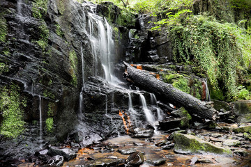 waterfall in deep forest folly dolly falls yorkshire