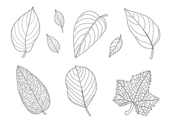 Leaves line single leaf and leaf pattern black Bring to color decorate on white background illustration  vector