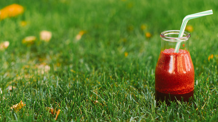 Healthy nutrition. Natural drink. Fresh red berries smoothie in bottle on green grass.