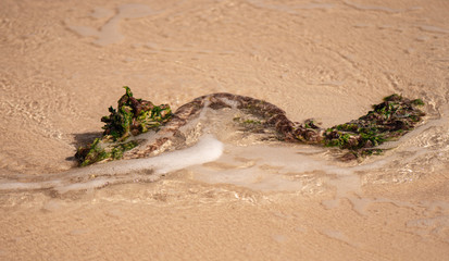 Rope on beach