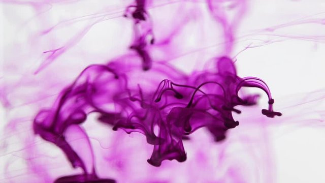 Purple - pink ink falling through water, beautiful abstract motion