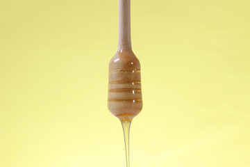 honey dripping from a wooden spoon for honey on a colored bright background.