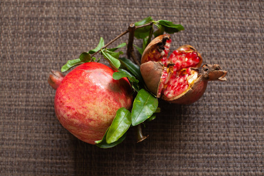 1 590 Best 茶色背景images Stock Photos Vectors Adobe Stock