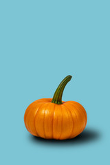 A juicy orange pumpkin on an empty, uniform, light blue background.