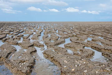 marée basse à l'océan. vue sur le sable et un ciel orageux