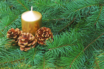 gold colored candle and pines cones on green coniferous branches