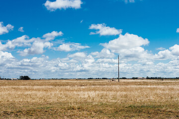un paysage d'un pré d'herbes sèches et des nuages blancs dans le ciel.