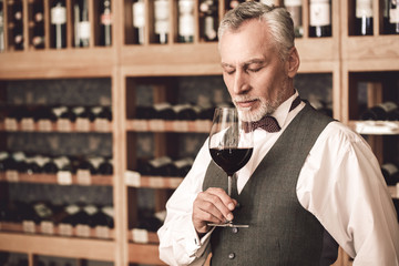 Sommelier Concept. Senior man standing holding glass smelling wine closed eyes concentrated