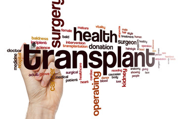 Transplant word cloud