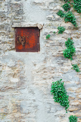 une plaque carrée de métal rouillée sur un mur avec de la végétation
