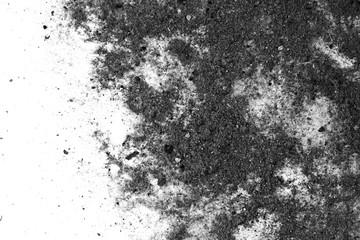 Black trash, dust, dirt isolated on a white background closeup. texture of garbage from a vacuum cleaner