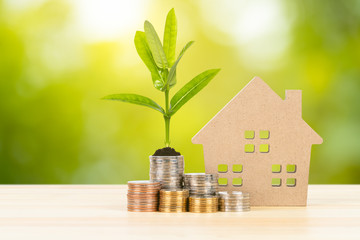 Coin stack and model house with growing leaves on wooden desk on green tree background, mortgage...